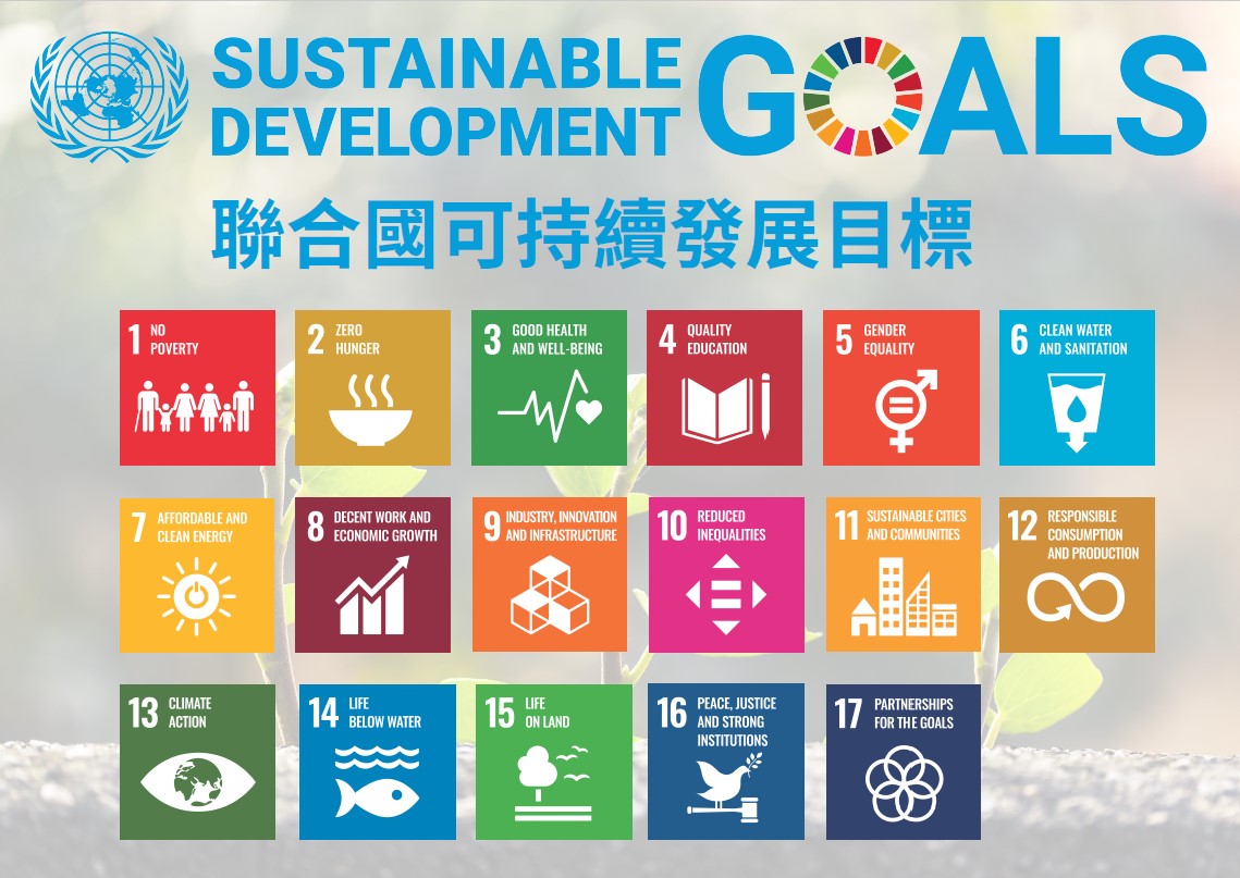 SDG POSTER